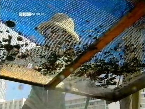 BBC - Horizon - 2001 - The Mystery Of The Miami Circle