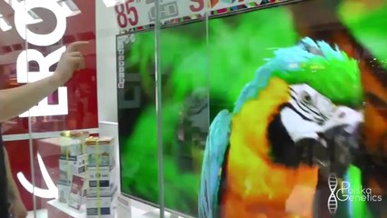 Special VLOG #1 - Reise, Ankunft & erster Tag in Dubai