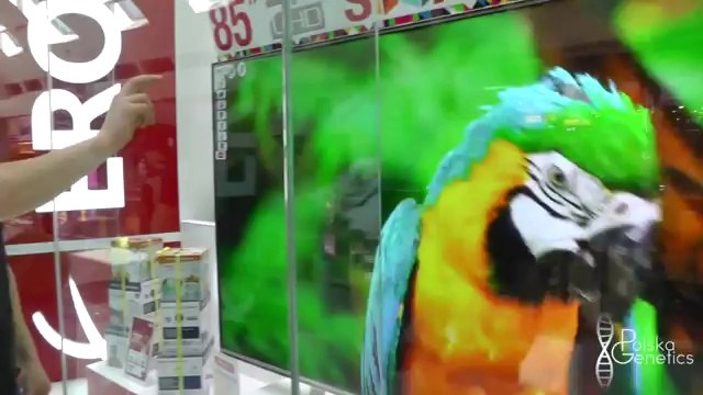 Special VLOG #1 - Reise, Ankunft & erster Tag in Dubai