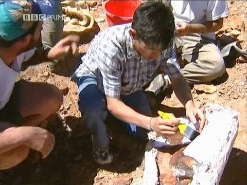 BBC - Horizon - 2003 - The Mystery Of The Jurassic