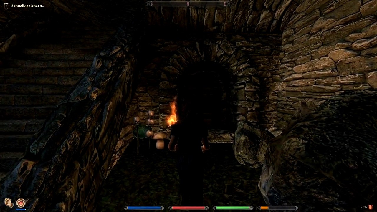 Oblivion #7 Der erste Dungeon (Let's Play) [HD]