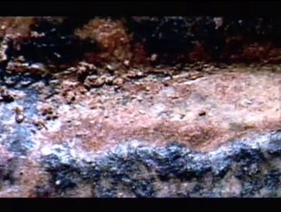 BBC - Horizon - 2004 - King Solomon's Tablet Of Stone