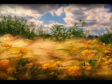 YILDIZ DEMİRKOL SAVAŞ-yıldızlıtürküler-YÜCE DAĞIM YAĞAR BANA