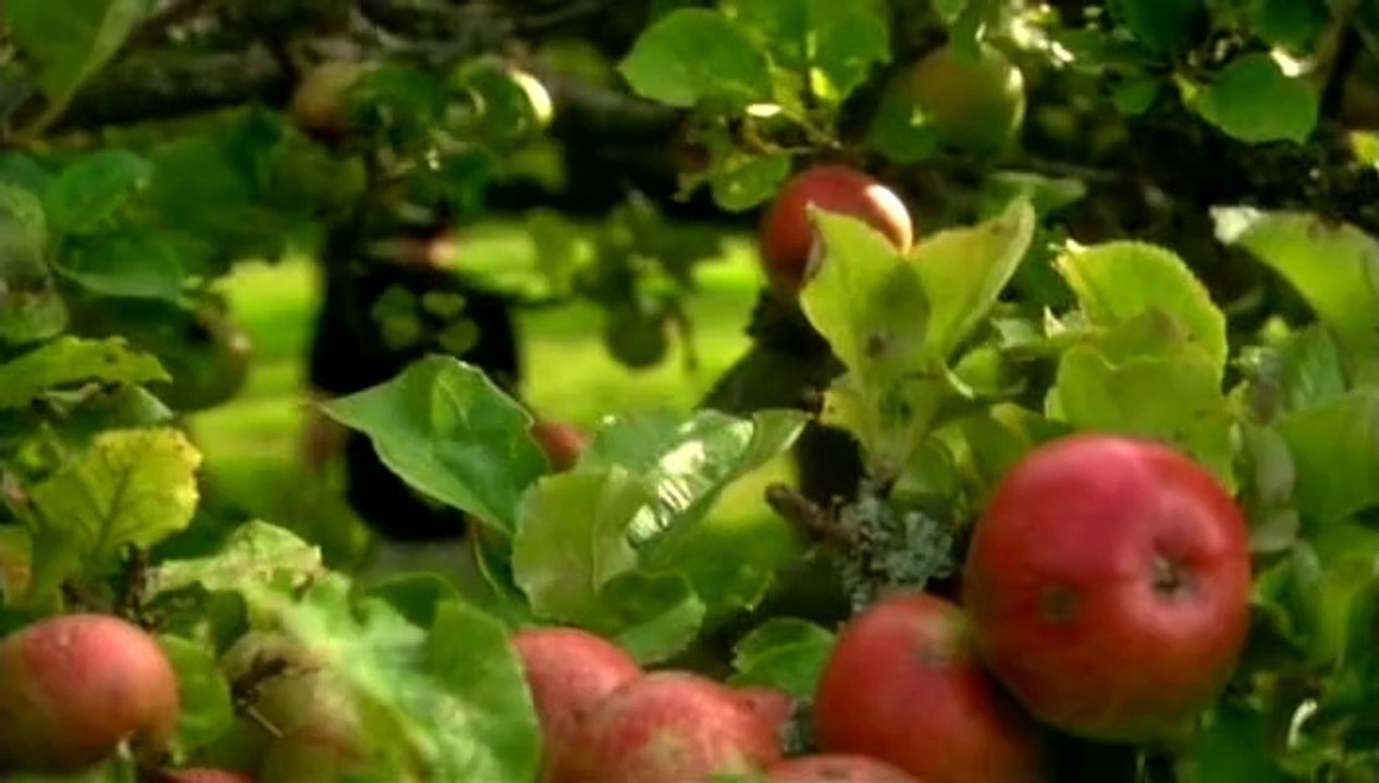 BBC - Horizon - 2005 - Einstein'S Unfinished Symphony