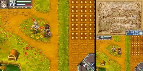 Rune Factory [3] Un(e) MAUVAISE HERBE?