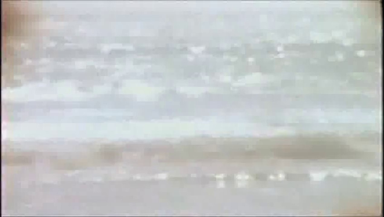train-rev