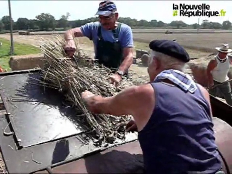 VIDEO : Fête des travaux anciens à Nueil-les-Aubiers (79)