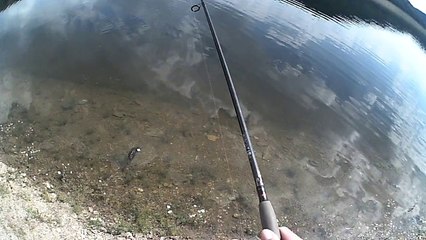 PECHE AU LEURRE STORM LIVE KICKIN