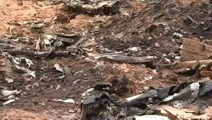 Crash du vol d'Air Algérie : "Il n'y a plus rien", se désole un témoin ému aux larmes