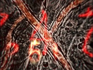 How To Install Call of Duty Black Ops 1 PC