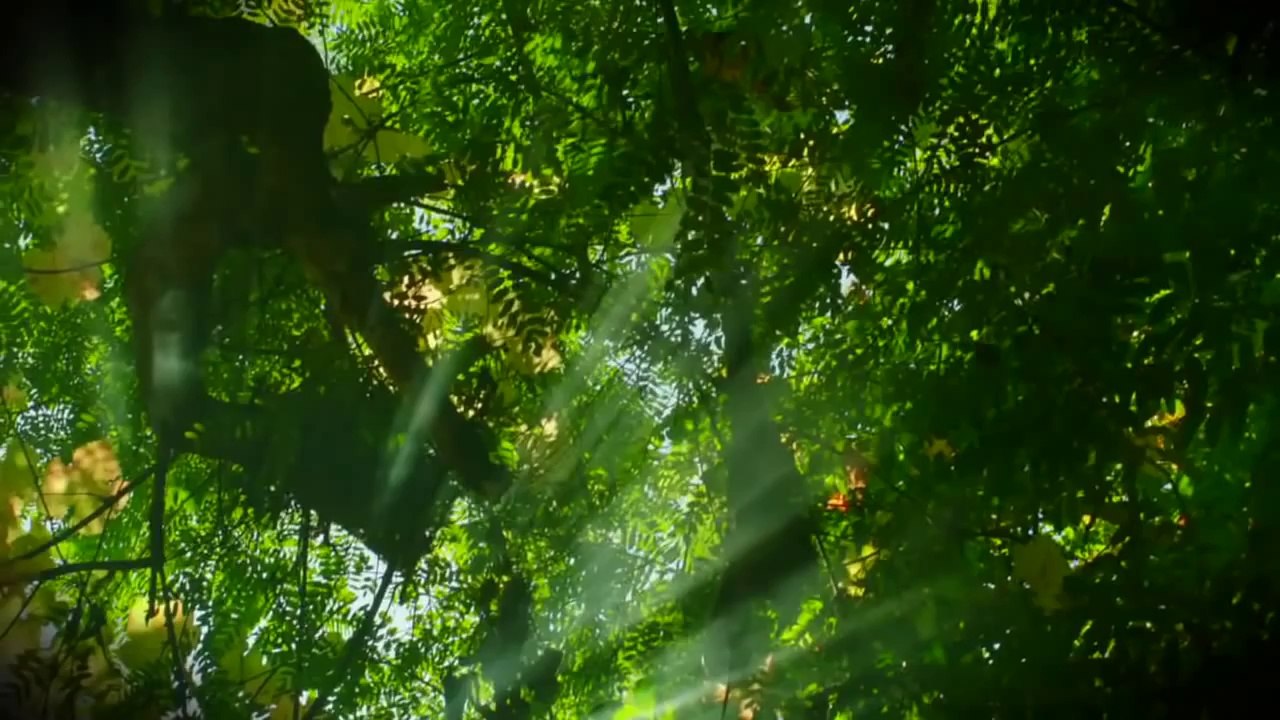 The Magic Bracelet Trailer (HD)