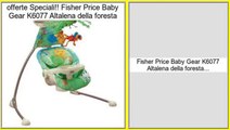 supermercato Fisher Price Baby Gear K6077 Altalena della foresta