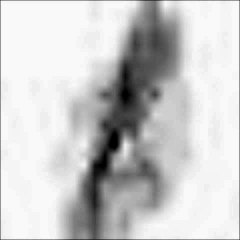 The Missing Link - Deeper - 2013