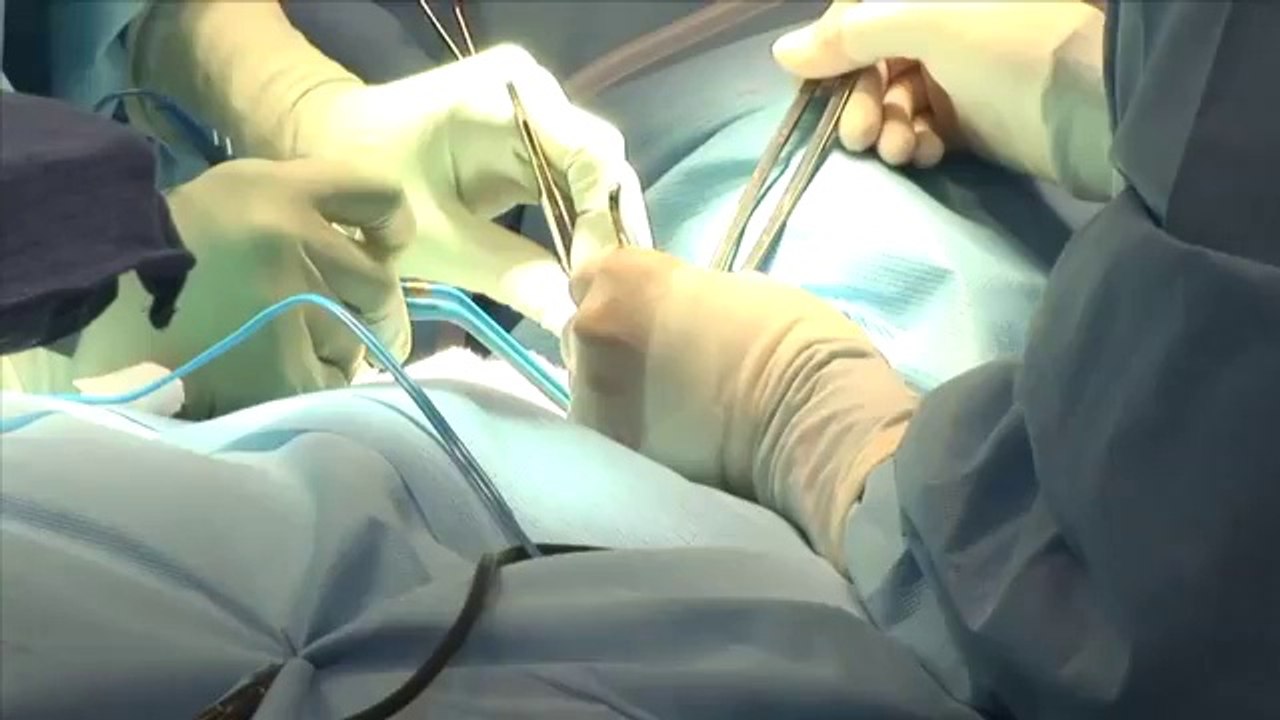 Sudhir Gopi Holdings Dubai  --  neurosurgeon