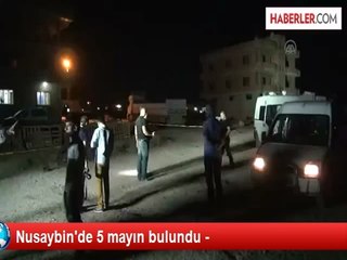 Nusaybin'de 5 mayın bulundu -