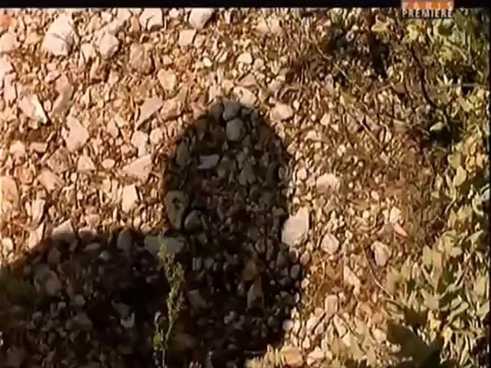 sexi marion avec un beau foulard