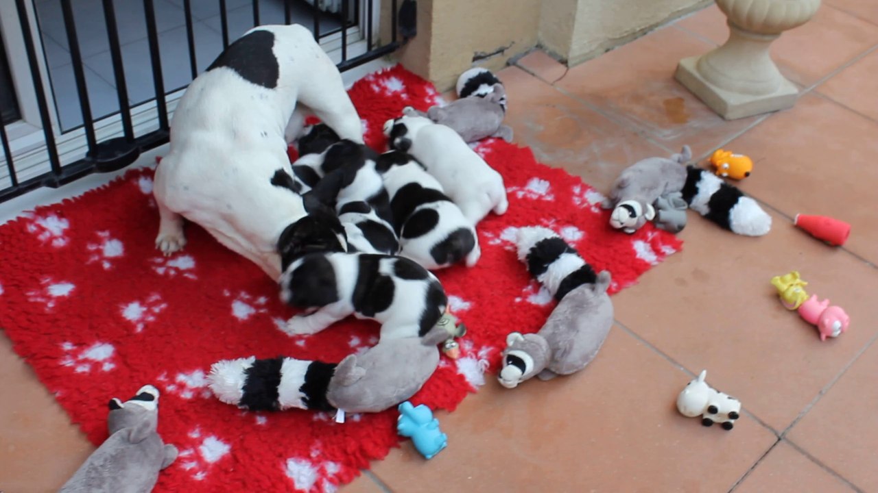 les bébés et maman