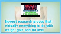 How to Get a Flat Belly In This Video - Go From Having A Fat Belly To Having A Flat Belly Forever