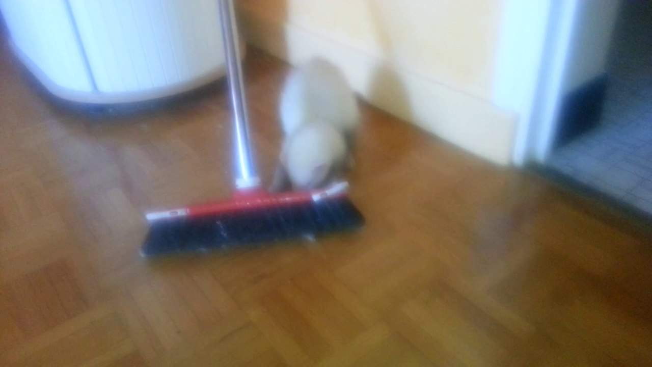 Ange et le balai ^^