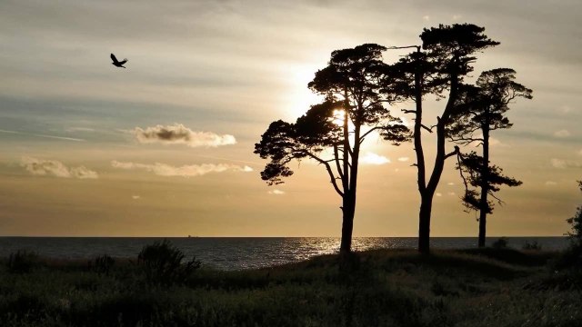 На фоне заката ( слайд - шоу)