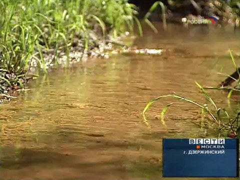 Вести-Москва (Россия, 31.07.2007) Торговля бахчевых культур в Москве началась раньше установленного срока