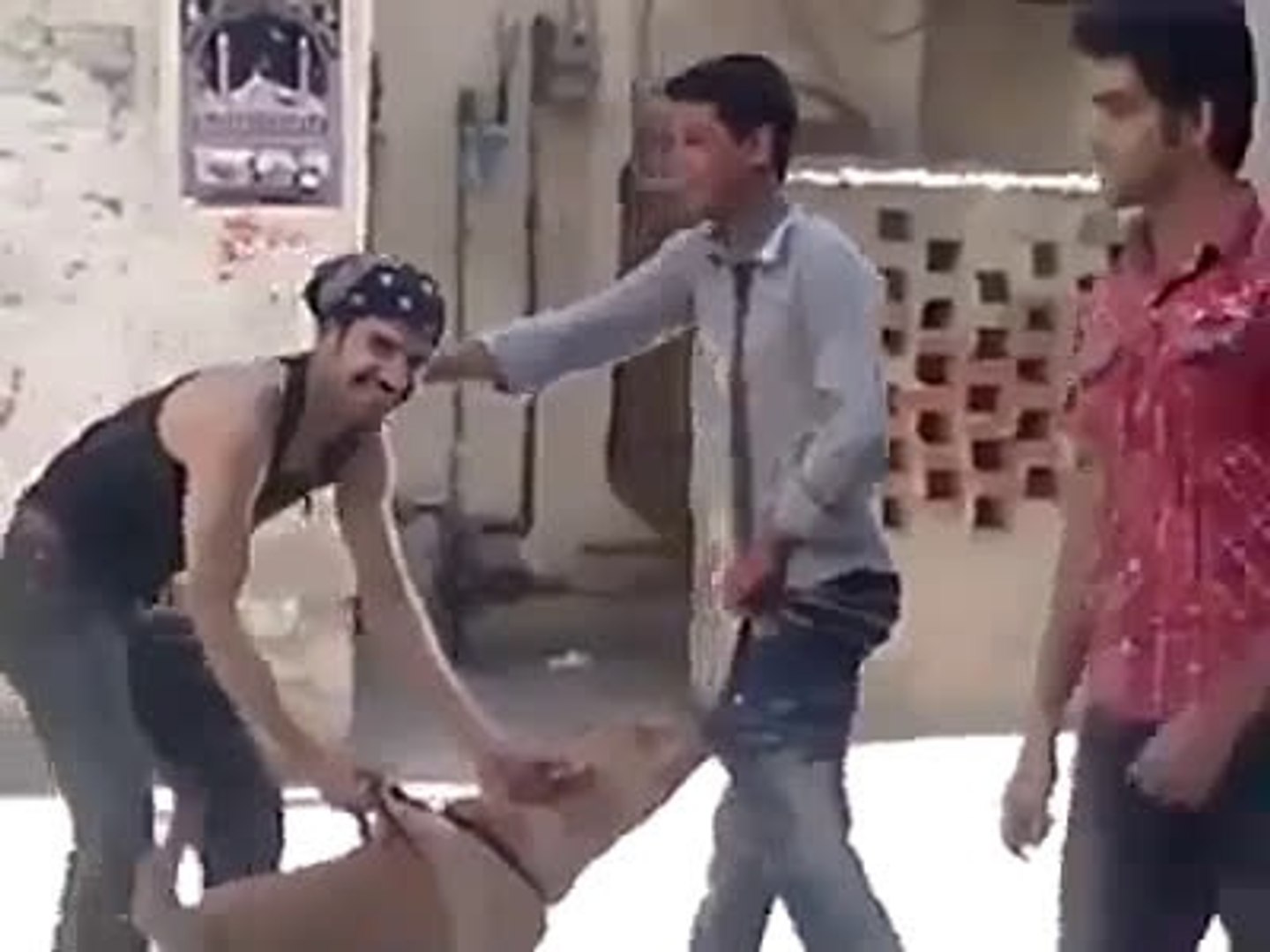 ⁣dog bite amazing dog video