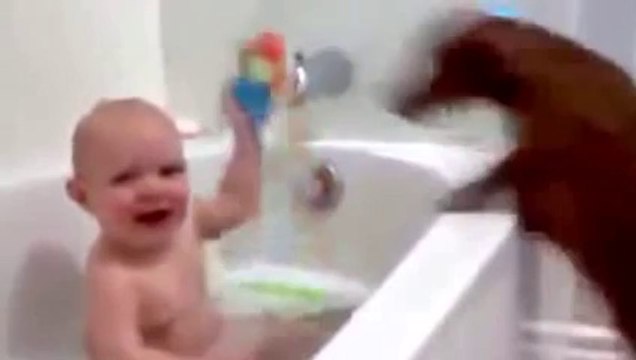 Cute baby vs puppy funny video ... Funny baby laughing hysterically ... Most funny baby video