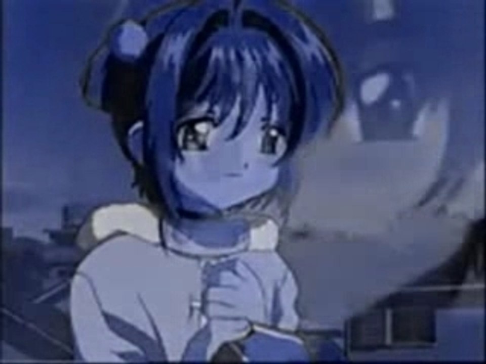 The sakura's tribute