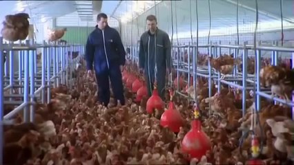 Les dessous des produits frais!!!