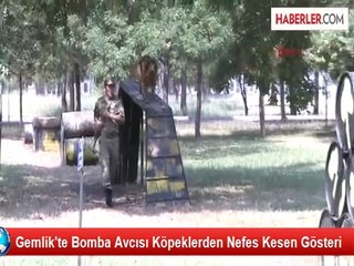 Gemlik'te Bomba Avcısı Köpeklerden Nefes Kesen Gösteri