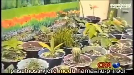 CNN report on Israel bomb blasting.