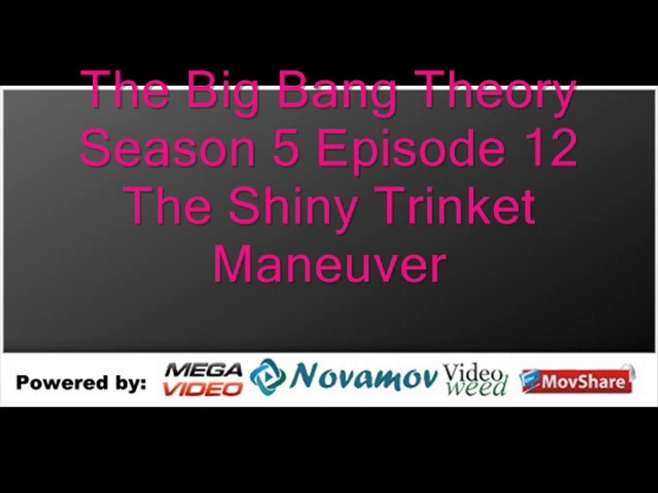 The Big Bang Theory Season 5 Episode 12 – The Shiny Trinket Maneuver