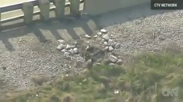 ANNE ÖRDEK VE YAVRULARININ 'DEHŞETENGİZ' YOLCULUĞU