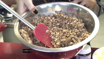 CONEXAO PGM 77 BL 01_1