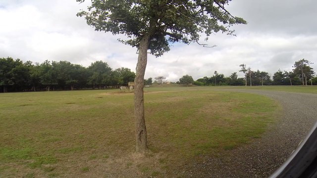ZEBRE ZOO PLAISANCE DU TOUCH AFRICAN SAFARI