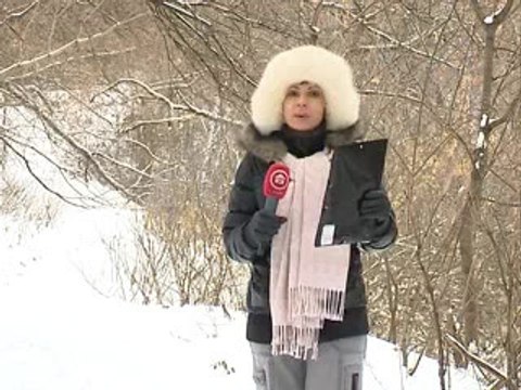 осень в саду 17.11