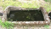 Fontaine Saint Patrocle dans l'Allier, source sacrée.