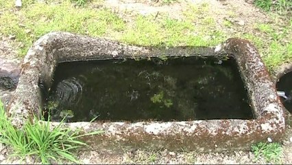 Fontaine Saint Patrocle dans l'Allier, source sacrée.
