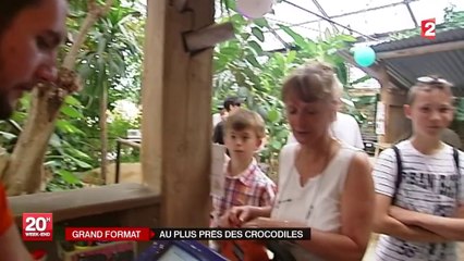 A la découverte des crocodiles, ces animaux qui ont connu les dinosaures