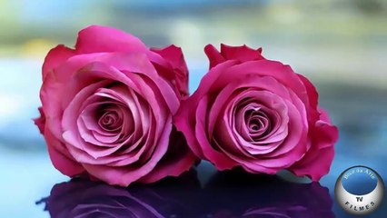 Feche os olhos by Beco da Arte