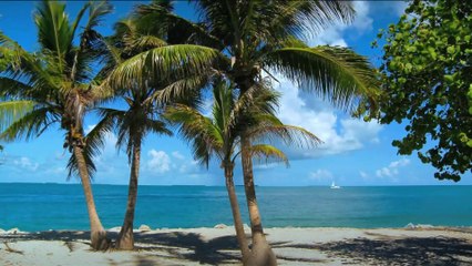 Relaxing Beach Waves 2 - Piano HD 1080p