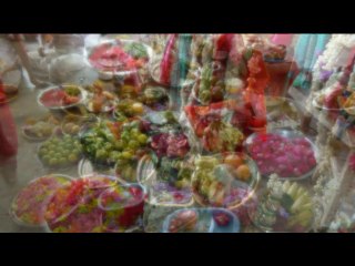 Tirupapuliyur gopalasundra bagavatar bajan sri radha kalyanam neyveli