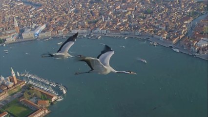 Birds Flying Away - Piano HD 1080p