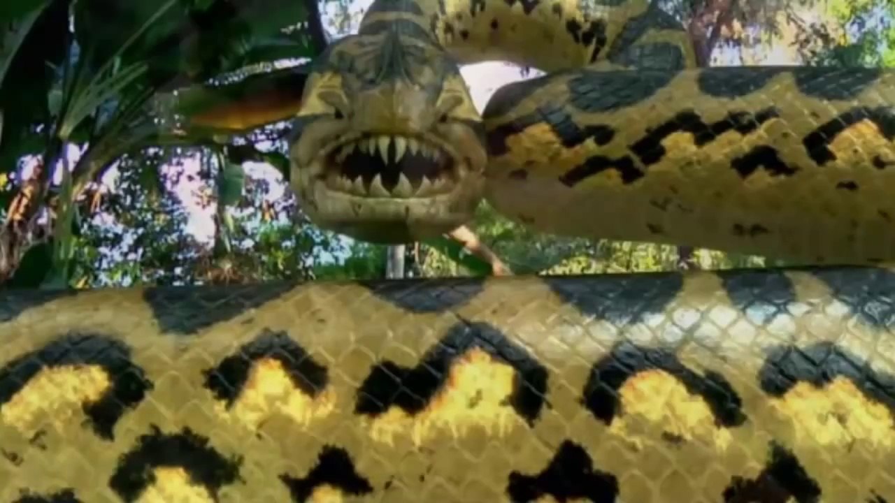 Piranhaconda Official Trailer - Vídeo Dailymotion