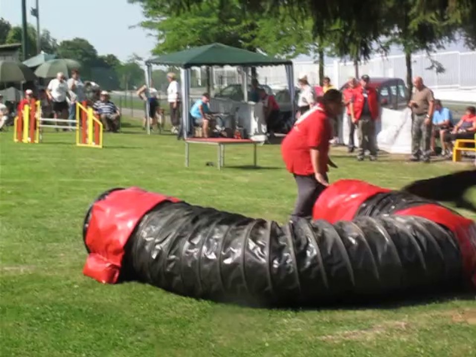 Agility : un parcours type, de A à Z