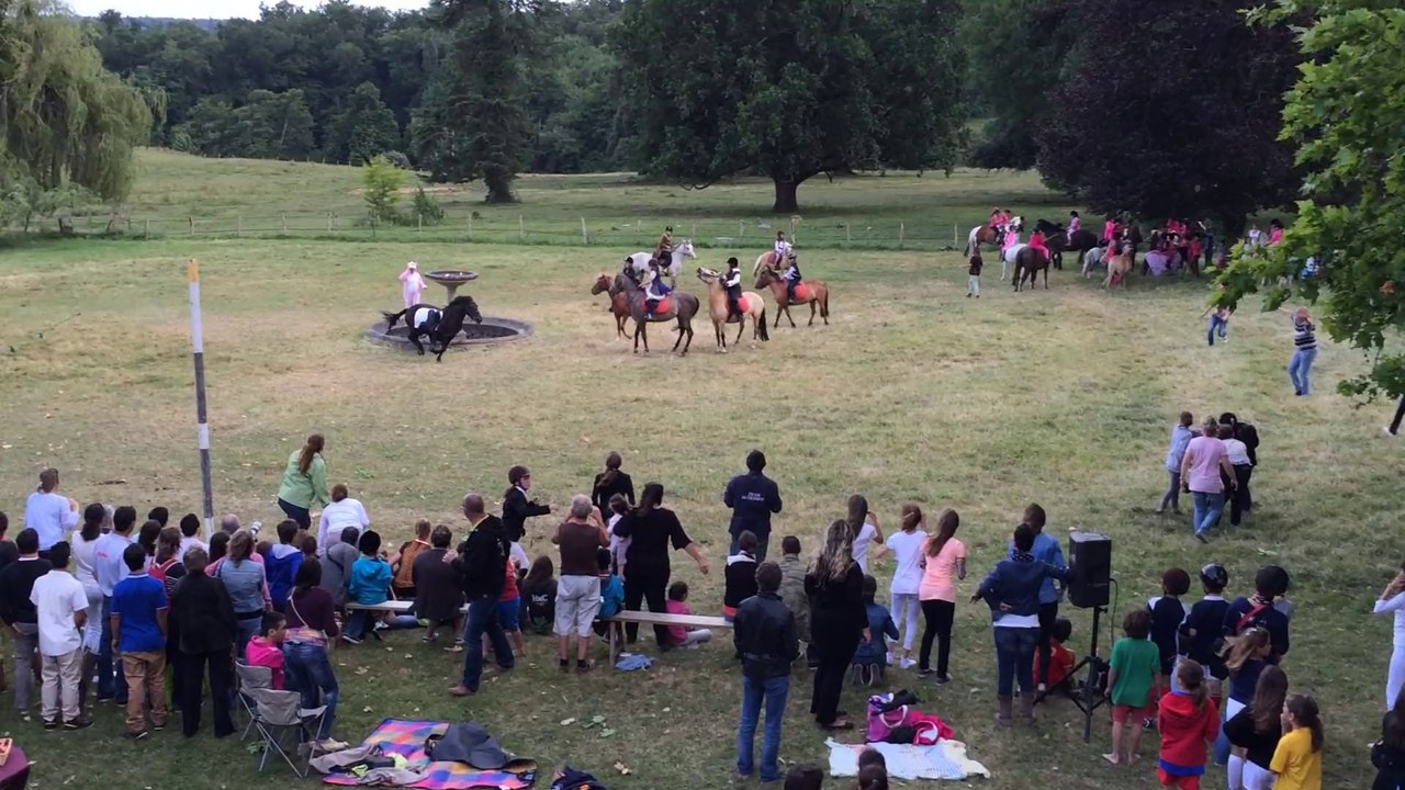 panthère rose - fete poney club chateau perron - juin 2014