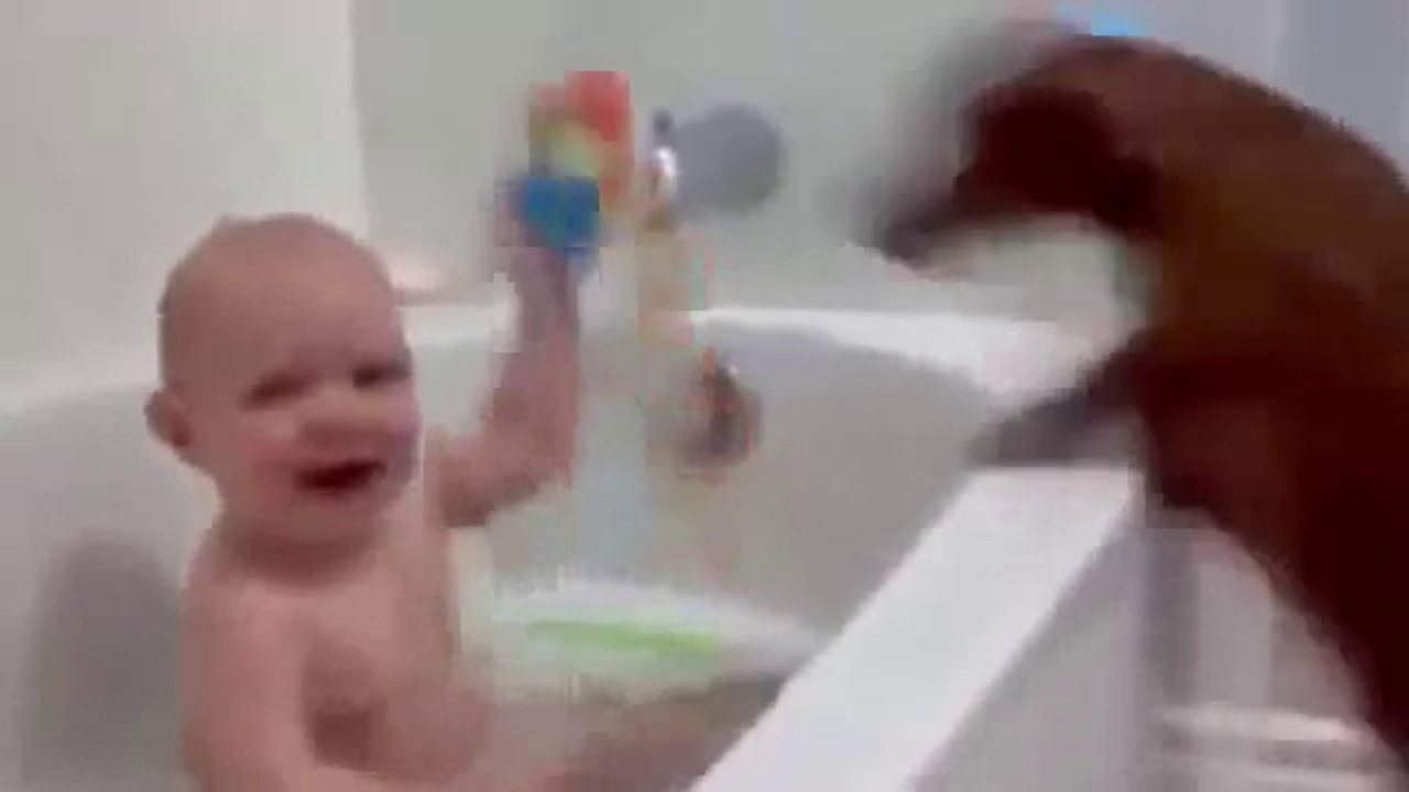 Funny Dog