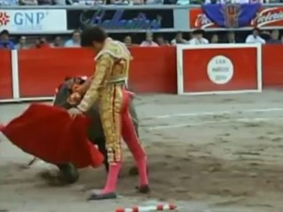 Top 20 Most Shocking Video - Escapes From Death 2 - 20