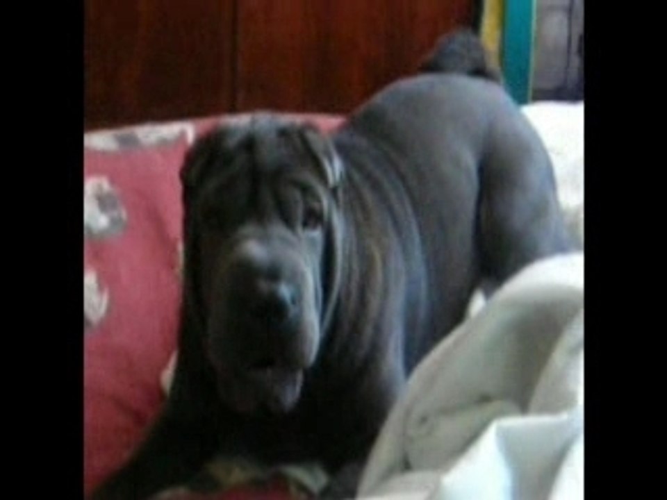 Blue Lane Janvier 2007