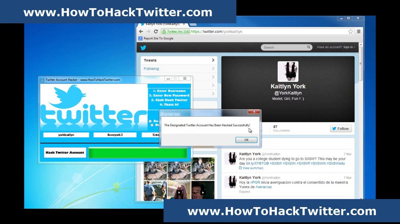 Twitter Account Hacker How To Hack A Twitter Accounts 2014
